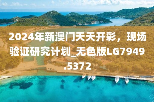 2024年新澳門天天開彩，現場驗證研究計劃_無色版LG7949.5372