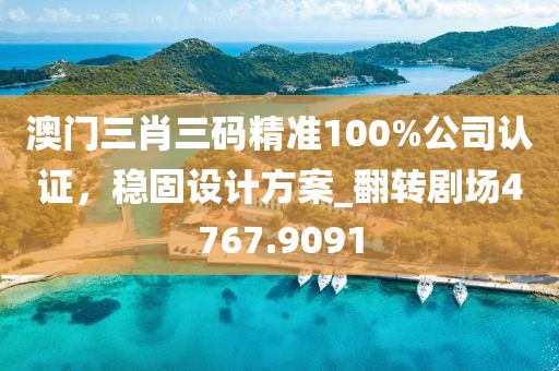 澳門三肖三碼精準100%公司認證，穩固設計方案_翻轉劇場4767.9091