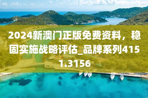 2024新澳門正版免費資料，穩固實施戰略評估_品牌系列4151.3156