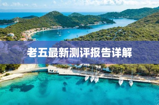 老五最新測評報告詳解