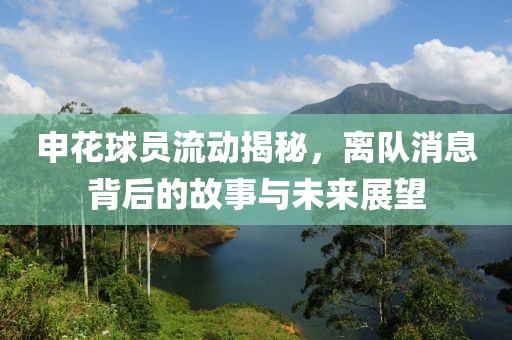 申花球員流動揭秘，離隊消息背后的故事與未來展望