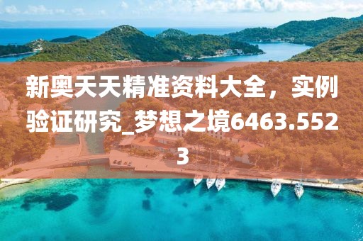 新奧天天精準資料大全，實例驗證研究_夢想之境6463.5523