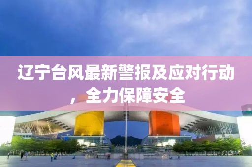 遼寧臺(tái)風(fēng)最新警報(bào)及應(yīng)對(duì)行動(dòng)，全力保障安全