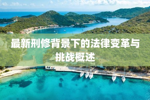 最新刑修背景下的法律變革與挑戰(zhàn)概述