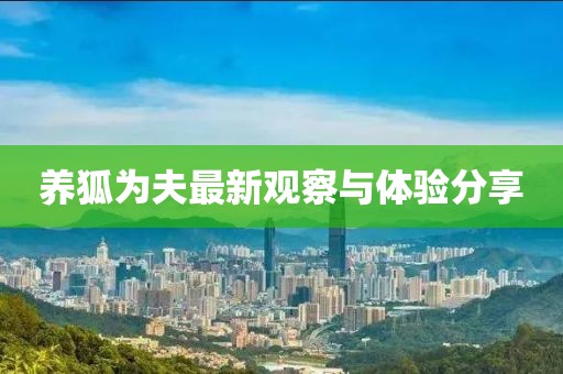 2025年3月 第411頁