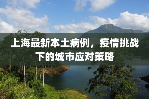 上海最新本土病例，疫情挑戰下的城市應對策略