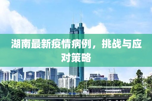 湖南最新疫情病例，挑戰與應對策略