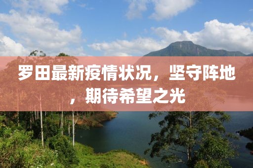 羅田最新疫情狀況，堅(jiān)守陣地，期待希望之光