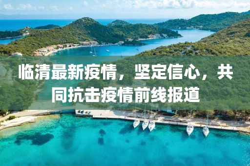 臨清最新疫情，堅(jiān)定信心，共同抗擊疫情前線報道
