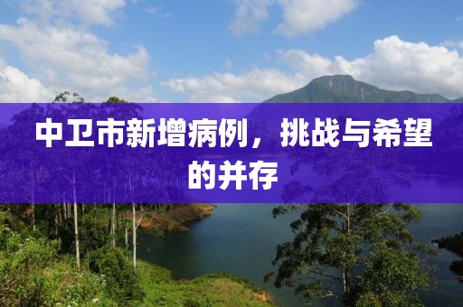 中衛(wèi)市新增病例，挑戰(zhàn)與希望的并存