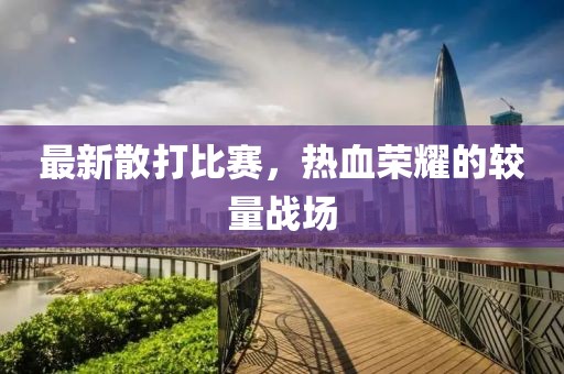 最新散打比賽，熱血榮耀的較量戰(zhàn)場(chǎng)