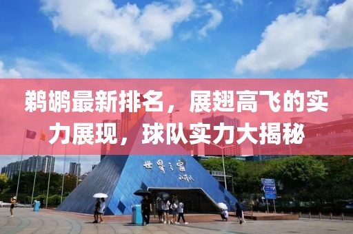 鵜鶘最新排名，展翅高飛的實力展現，球隊實力大揭秘
