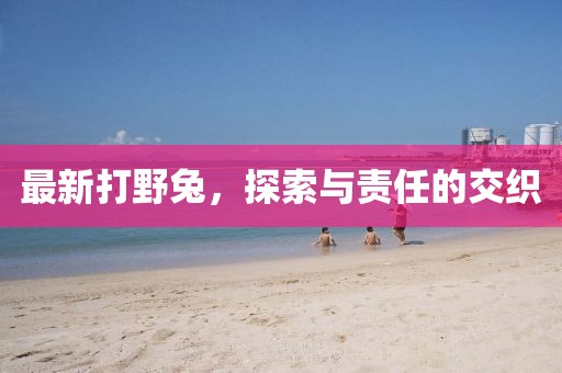 最新打野兔，探索與責任的交織