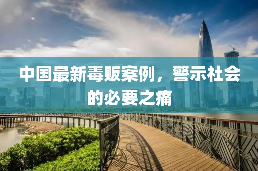 中國(guó)最新毒販案例，警示社會(huì)的必要之痛
