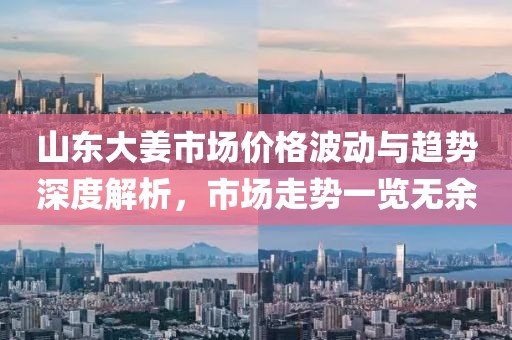 山東大姜市場價格波動與趨勢深度解析，市場走勢一覽無余