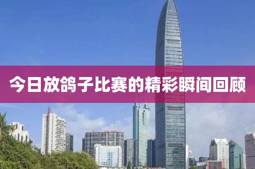 今日放鴿子比賽的精彩瞬間回顧
