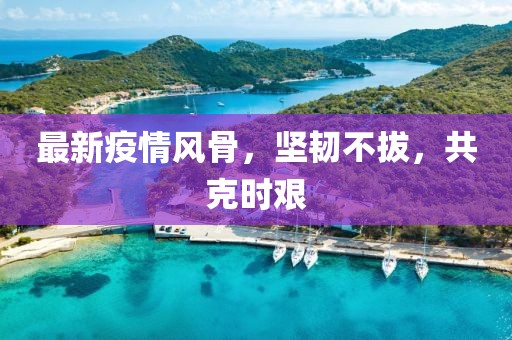 最新疫情風骨，堅韌不拔，共克時艱