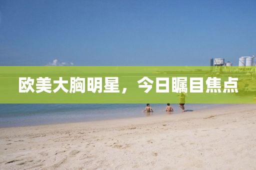 2025年3月 第15頁