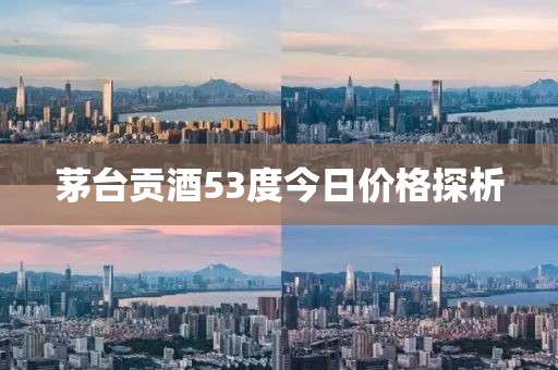 茅臺貢酒53度今日價格探析
