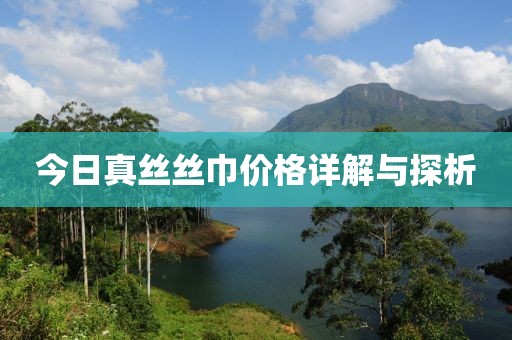 今日真絲絲巾價(jià)格詳解與探析