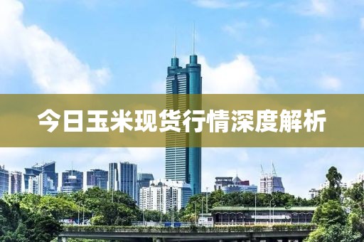 今日玉米現貨行情深度解析