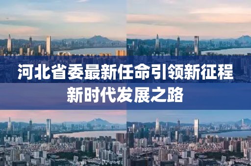 河北省委最新任命引領新征程新時代發(fā)展之路