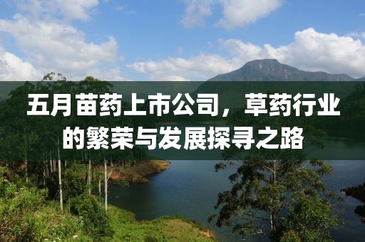 五月苗藥上市公司，草藥行業(yè)的繁榮與發(fā)展探尋之路