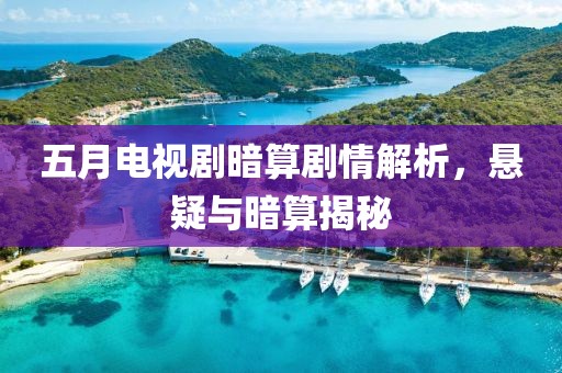 五月電視劇暗算劇情解析，懸疑與暗算揭秘