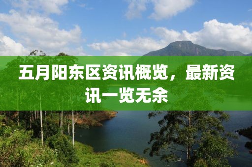 五月陽東區資訊概覽，最新資訊一覽無余