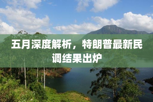 五月深度解析，特朗普最新民調結果出爐