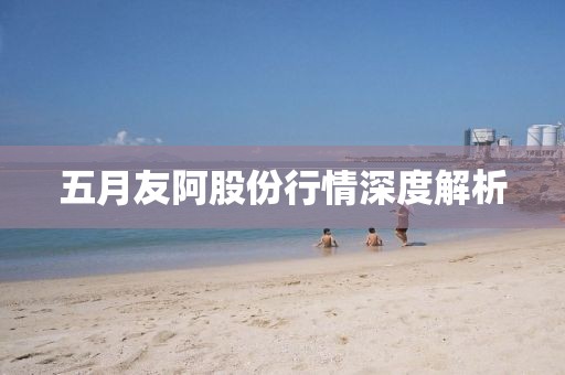 五月友阿股份行情深度解析