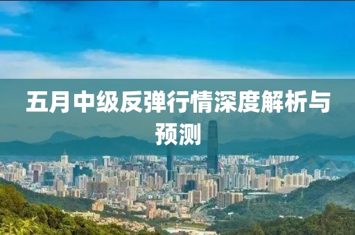 五月中級反彈行情深度解析與預測