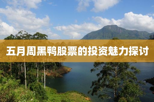 2025年5月4日 第5頁(yè)