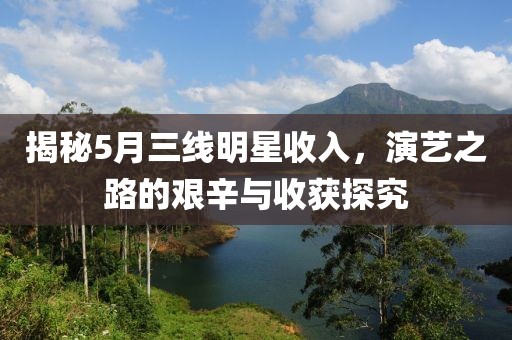 揭秘5月三線明星收入，演藝之路的艱辛與收獲探究
