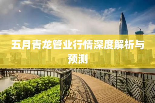 五月青龍管業行情深度解析與預測