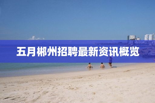 五月郴州招聘最新資訊概覽