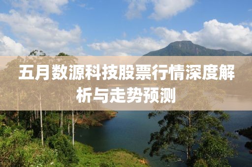 五月數源科技股票行情深度解析與走勢預測