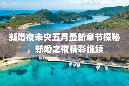 新婚夜未央五月最新章節探秘，新婚之夜精彩繼續