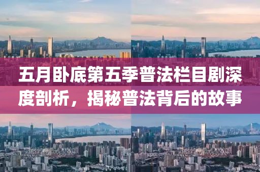 五月臥底第五季普法欄目劇深度剖析，揭秘普法背后的故事