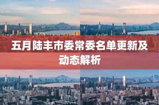 五月陸豐市委常委名單更新及動(dòng)態(tài)解析