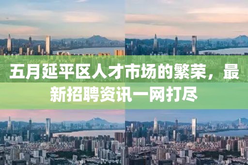 五月延平區(qū)人才市場的繁榮，最新招聘資訊一網(wǎng)打盡