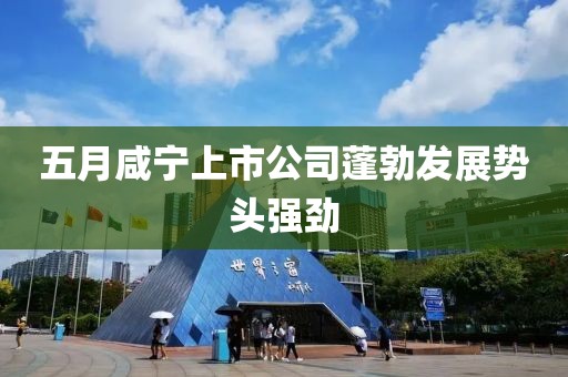 五月咸寧上市公司蓬勃發(fā)展勢頭強(qiáng)勁