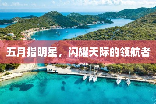 五月指明星，閃耀天際的領航者