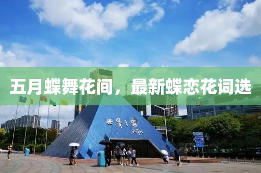 五月蝶舞花間，最新蝶戀花詞選