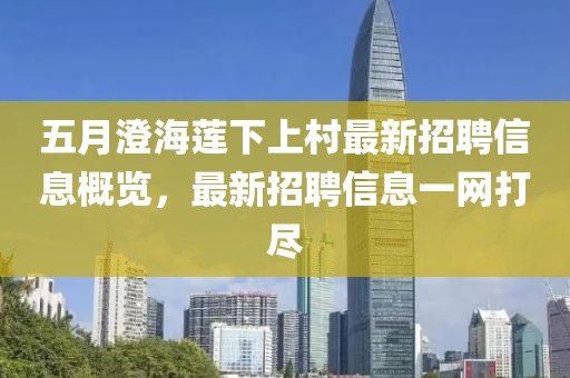 五月澄海蓮下上村最新招聘信息概覽，最新招聘信息一網(wǎng)打盡
