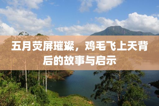 五月熒屏璀璨，雞毛飛上天背后的故事與啟示