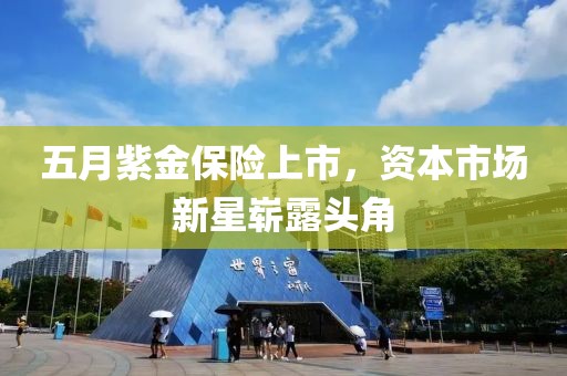 五月紫金保險上市，資本市場新星嶄露頭角