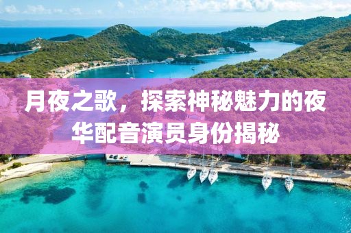 月夜之歌，探索神秘魅力的夜華配音演員身份揭秘