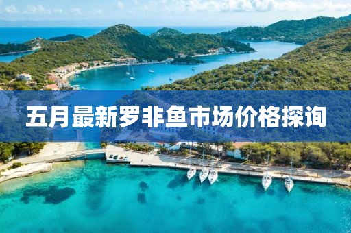 五月最新羅非魚市場價格探詢