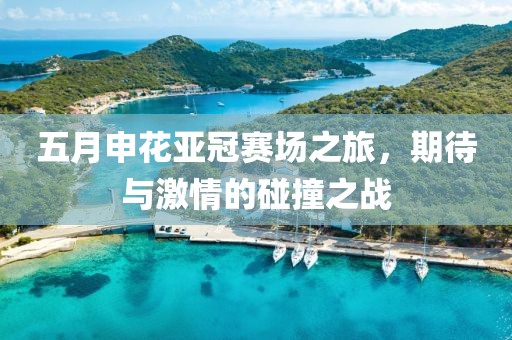 五月申花亞冠賽場之旅，期待與激情的碰撞之戰